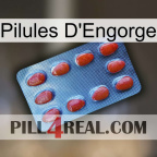 Engorge Pills 06